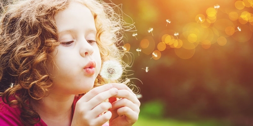 Ventilation mécanique contrôlée